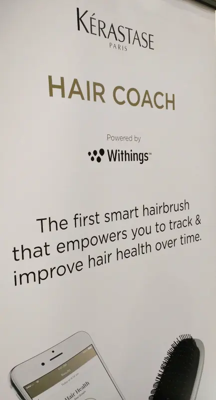 CES 2017 Automotive, Voices, and Everything 6