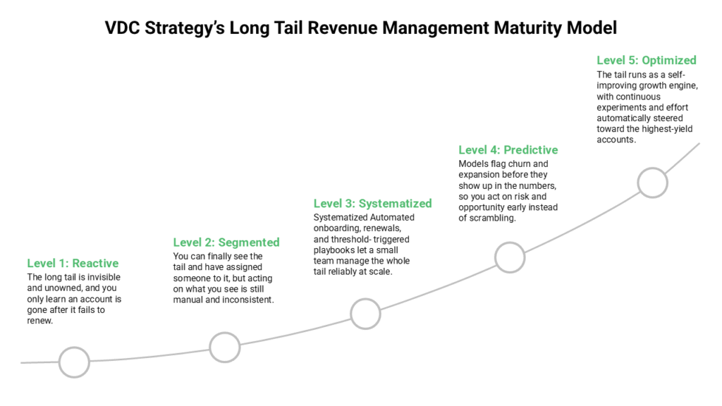 A Maturity Model for Managing the Long Tail
